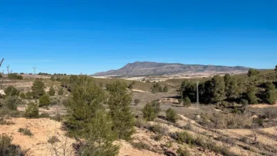 Rustic Finca in Jumilla photo 5