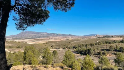 Rustic Finca in Jumilla photo 6