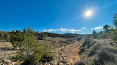 Rustic Finca in Jumilla photo 2