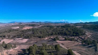 Rustic Finca in Jumilla photo 4