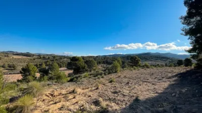 Rustic Finca in Jumilla photo 7