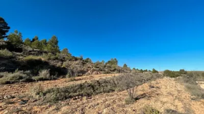 Rustic Finca in Jumilla photo 8