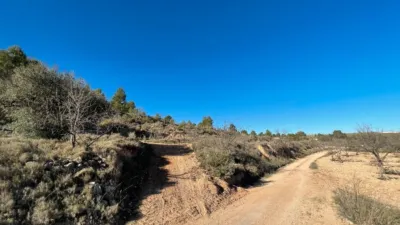 Rustic Finca in Jumilla photo 9