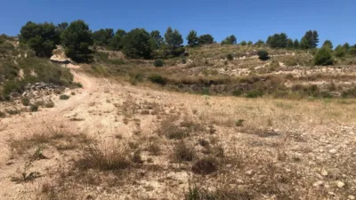 Rustic Finca in Jumilla photo 2