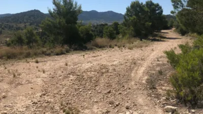 Rustic Finca in Jumilla photo 3