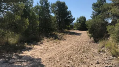 Rustic Finca in Jumilla photo 5