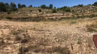 Rustic Finca in Jumilla photo 8