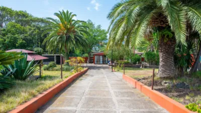 House in Guamasa-Los Baldíos-Los Rodeos-El Ortigal photo 34