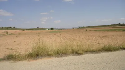 Rustic finca in Yecla photo 3