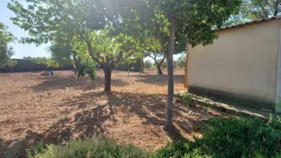 Miniatura 9