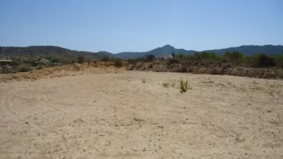 Rustic farm in Abanilla photo 2