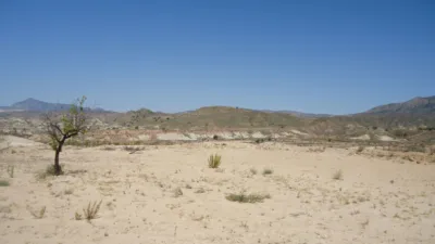 Rustic farm in Abanilla photo 5