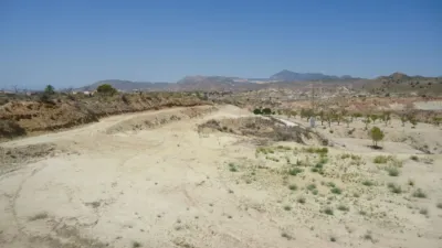 Rustic farm in Abanilla photo 6