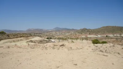 Rustic farm in Abanilla photo 7