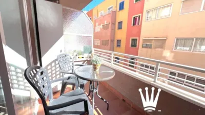 Apartment in Es Camp d'en Serralta photo 22