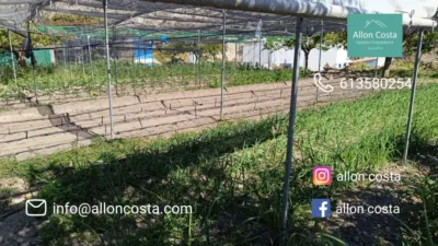 Terreno en venta en Orxeta - Vista 4