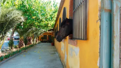 Rustic Finca in Zona Nord photo 24