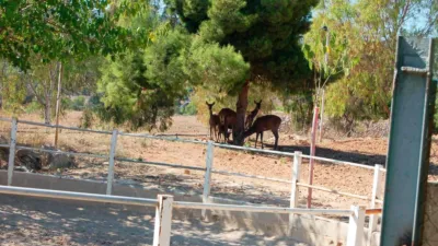 Rustic Finca in Zona Nord photo 29
