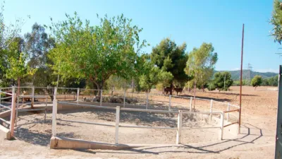 Rustic Finca in Zona Nord photo 30