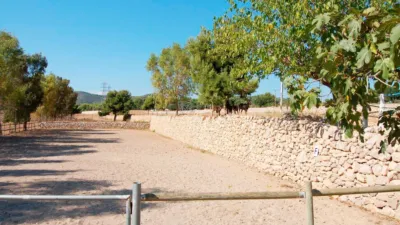 Rustic Finca in Zona Nord photo 31