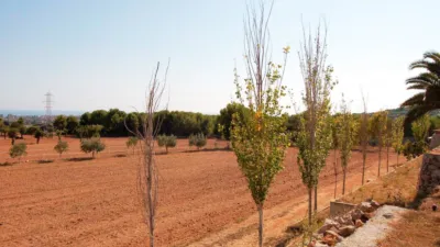 Rustic Finca in Zona Nord photo 33