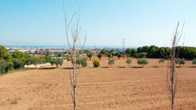 Rustic Finca in Zona Nord photo 4