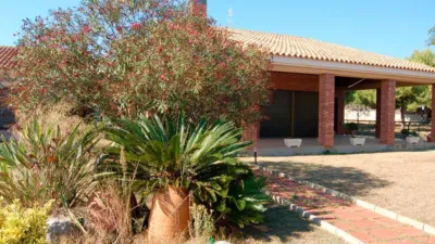 Rustic Finca in Zona Nord photo 6