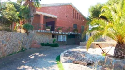 Rustic Finca in Zona Nord photo 7