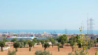 Rustic Finca in Zona Nord photo 8