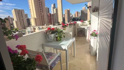 Piso – Benidorm - Vista 3