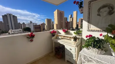 Piso – Benidorm - Más