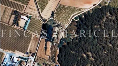 Rustic Finca in Nucli Urbà photo 5