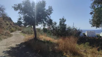 Rustic Finca in Algarrobo photo 10