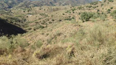 Rustic Finca in Algarrobo photo 2