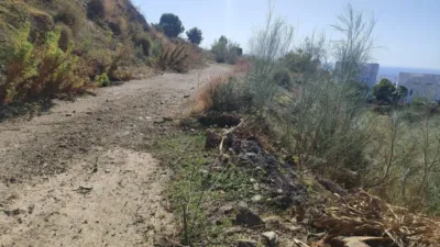 Rustic Finca in Algarrobo photo 7