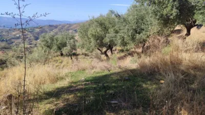 Rustic Finca in Algarrobo photo 8