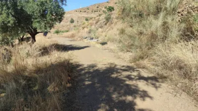 Rustic Finca in Algarrobo photo 9