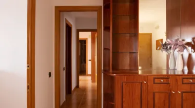 Penthouse in Sant Joan-Molí de Vent photo 3