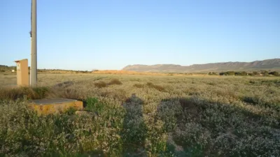 Rustic farm in Yecla photo 2