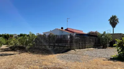 Chalet in El Rompido photo 22