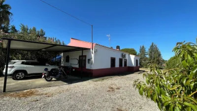 Chalet in El Rompido photo 7