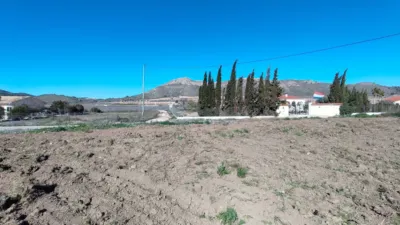 Rustic Finca in Barinas photo 12