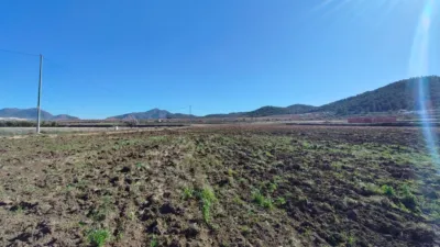 Rustic Finca in Barinas photo 4