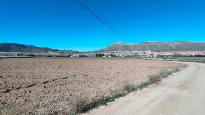 Rustic Finca in Barinas photo 6
