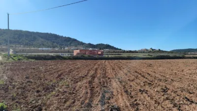 Rustic Finca in Barinas photo 7