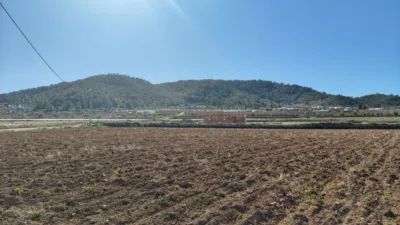 Rustic Finca in Barinas photo 9
