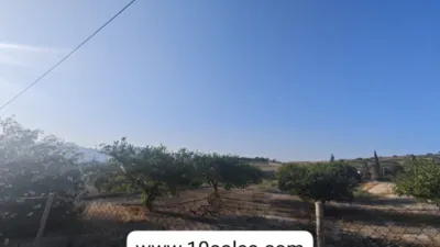 Rustic finca in Orihuela Pedanías photo 12