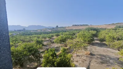 Casa – Orihuela, Arneva - Más
