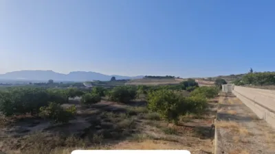Rustic finca in Orihuela Pedanías photo 8