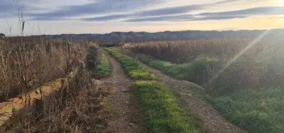 Finca rústica en venta en Plasencia de Jalón, Plasencia de Jalón